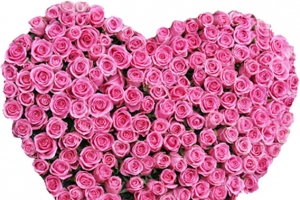 粉玫瑰高清PNG透明图片-情人节节日元素设计素材免费下载