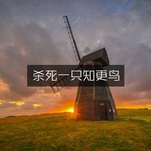 杀死一只知更鸟，文学艺术经典之作