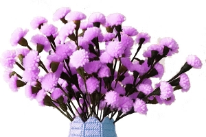 紫色花，盆栽，少女粉