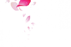 花瓣