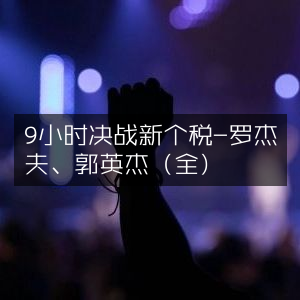 9小时精通新个税实战解析-罗杰夫&郭英杰（完整版）