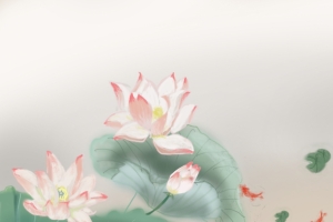原创 荷花 鱼 唯美 国风 高清 平板 壁纸