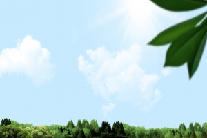 绿色草原食物背景