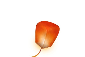 红色漂浮孔明灯