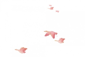 飞翔的大雁矢量