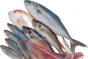 产品实物食物海鲜鱼