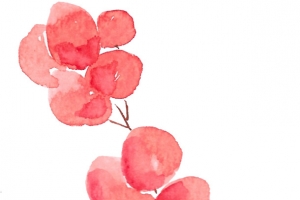 手绘水彩中国风红色花束插画素材