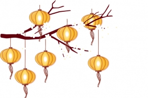 金色灯笼白梅花