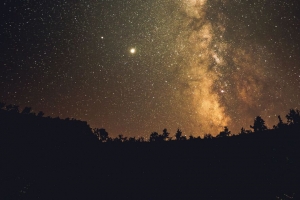 银河 星星 夜晚 树木 剪影 深色 4k壁纸 3840x2160