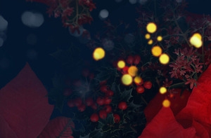 酷炫花瓣淘宝女装banner壁纸