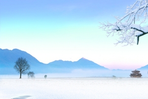 冬季背景