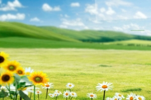 淘宝 天猫 banner 海报 背景墙
