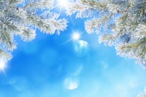 冬季暖冬雪景背景