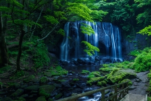 绿色 森林 树木 岩石 溪流 石头 瀑布 青苔 人行桥 大自然 4K风景壁纸3840x2160