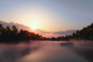 湖,树林,日出风景4k壁纸