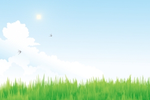 春天景色蓝天白云 燕子绿草背景