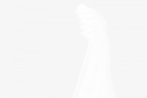 头纱婚纱高清PNG透明免扣设计素材免费下载