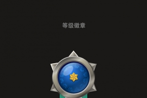 等级徽章装饰