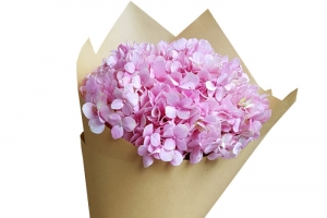 粉色绣球花束免扣素材