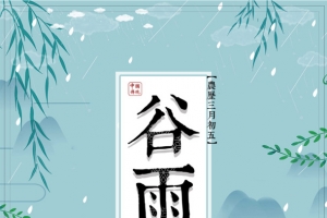 谷雨雨滴柳树荷叶手绘人物