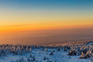 树木 森林 雪 冬天 日出 4k壁纸 3840x2160