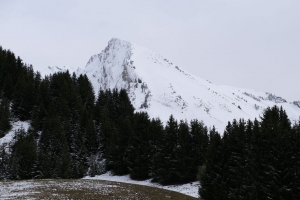 山 雪 树 景观 斜坡 冬季 4k壁纸 3840x2160