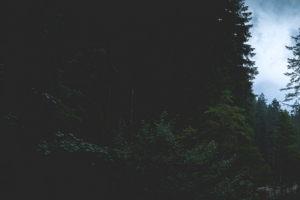 森林小溪风景3840x1080双屏壁纸