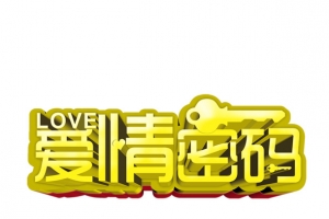 爱情密码