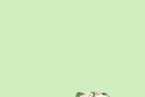 绿色背景电商