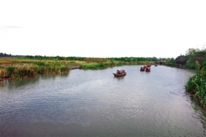 水乡湿地游船风景图片
