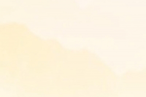投资理财金融企业PSD分层