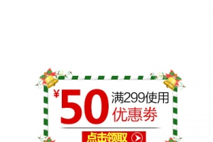 圣诞优惠券