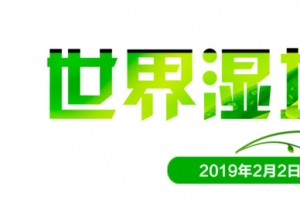 世界湿地日 环境