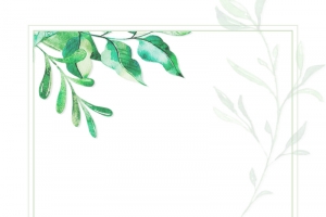 手绘绿色植物边框