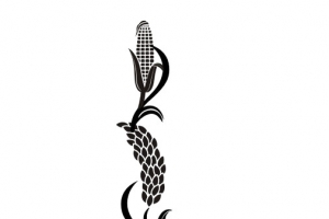 免费下载高清PNG透明免扣设计素材带源文件可修改颜色