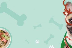 宠物美容清新简约蓝色banner