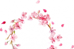 七夕情人节海报植物花朵