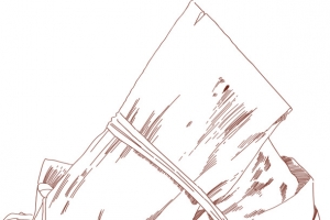 手绘线描棕子