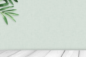 浅绿色日系家具家装嘉年华电商banner