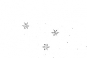 雪花漂浮