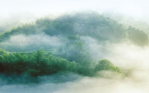 清新背景