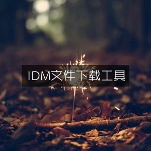 IDM高效文件下载器