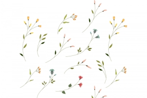 淡雅美丽的花枝背景