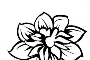 装饰花纹手绘花卉