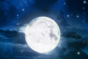 中秋节日夜色清新海报