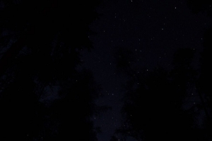 树木 夜晚 天空 星空 深色 4k壁纸 3840x2160
