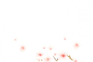 桃花装饰