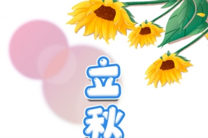 秋天立秋树叶向日葵柿子手绘狗