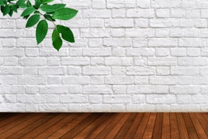 清新白色砖墙绿植背景