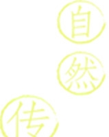 黄色自然传统美味端午节